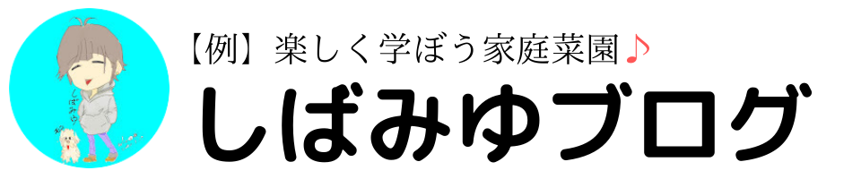 しばみゆブログ